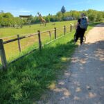 WhatsApp Image 2024-06-24 at 16.28.56