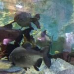 WhatsApp Image 2024-06-24 at 16.28.56 (2)