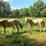 IZZY staat in het midden